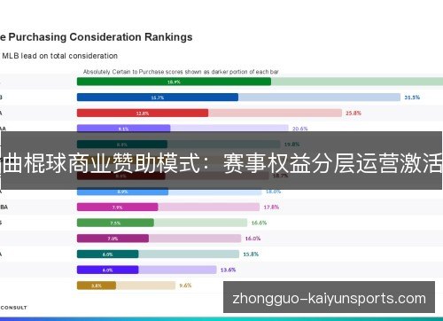 曲棍球商业赞助模式:赛事权益分层运营激活 曲棍球商业赞助模式:赛事权益分层运营激活
